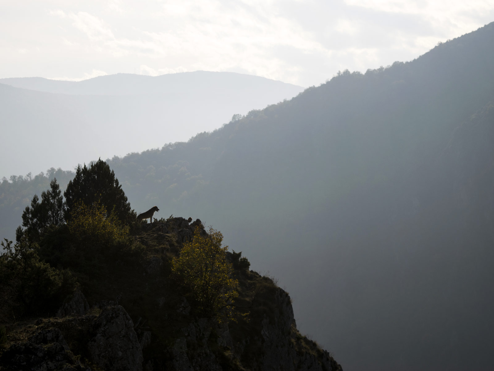 Matka Canyon (Photo license: CC BY-NC 2.0)